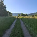 Sowie Jugów