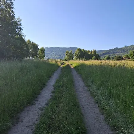 Sowie Jugów