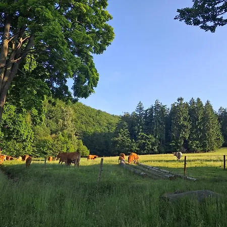 Апартаменты Sowie *