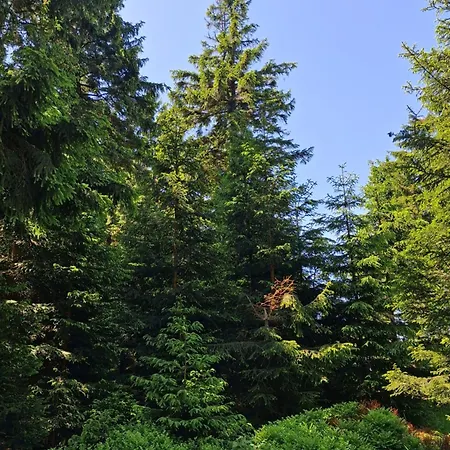 Sowie Апартаменты *