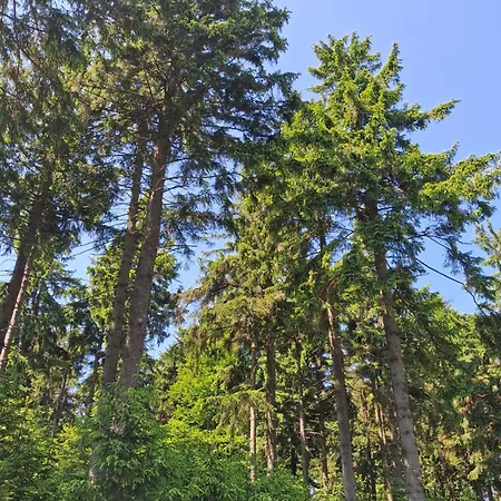 Sowie Апартаменты