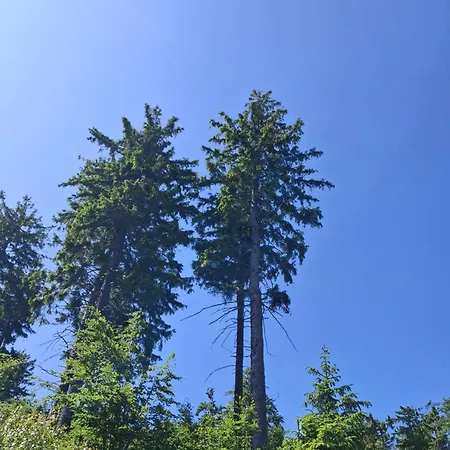 Апартаменты Sowie *